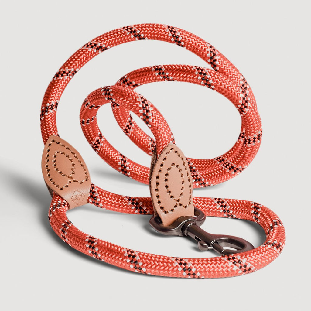 Correa de Cuerda para Perro – Estilo Urbano (120 cm)