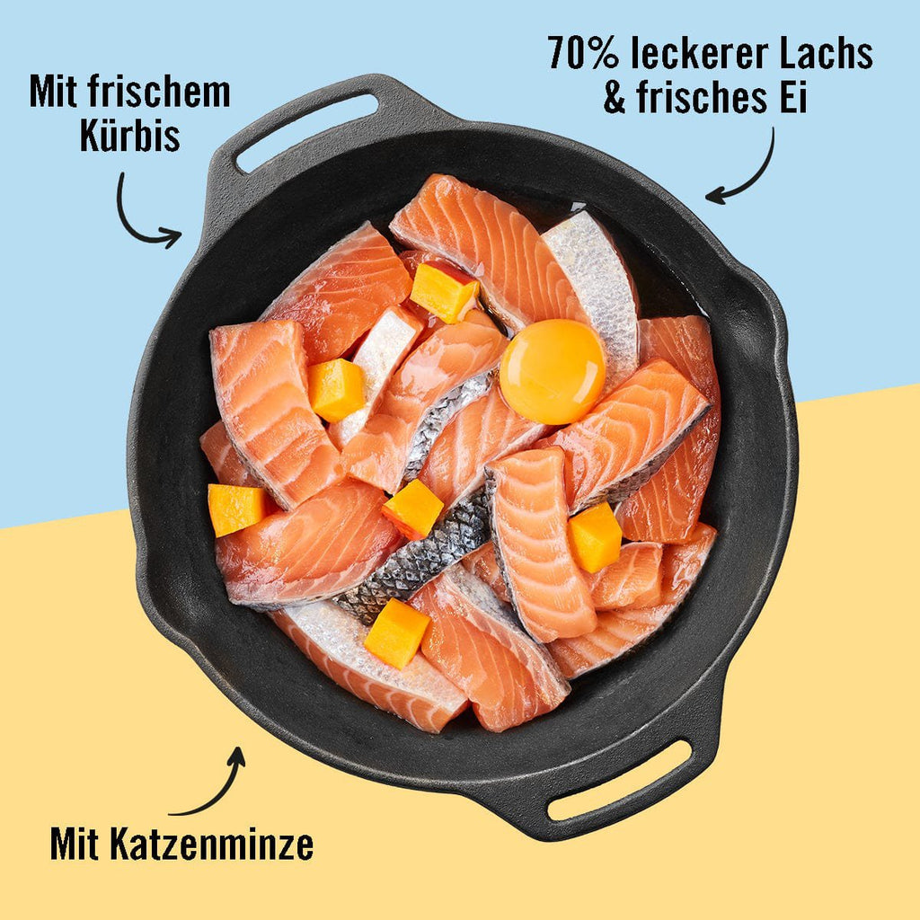 Adult Katzenfutter, Allerlei, Nassfutter für Katzen, Getreidefrei, Lachs mit Ei & Kürbis