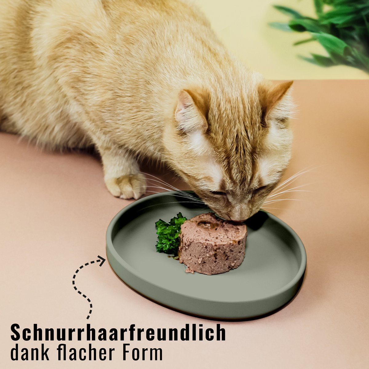 Cat Bowl – Silicone Shallow Whisker-Friendly