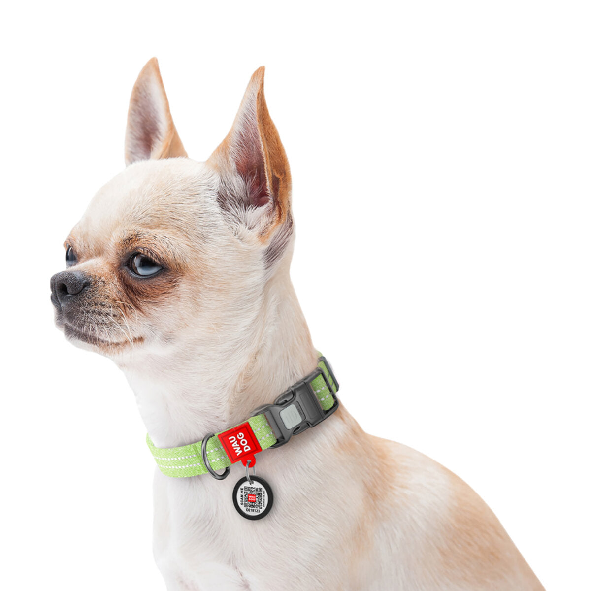WAUDOG Re-cotton Reflective Dog Collar with QR Passport - Light green