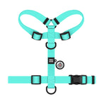WAUDOG Magnet Dog H-Harness with QR Passport - Tiffany