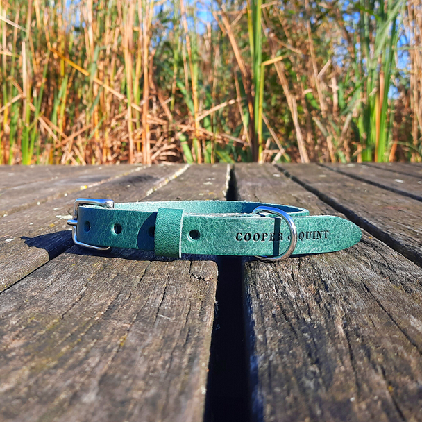 Hundehalsband aus Leder – Grün