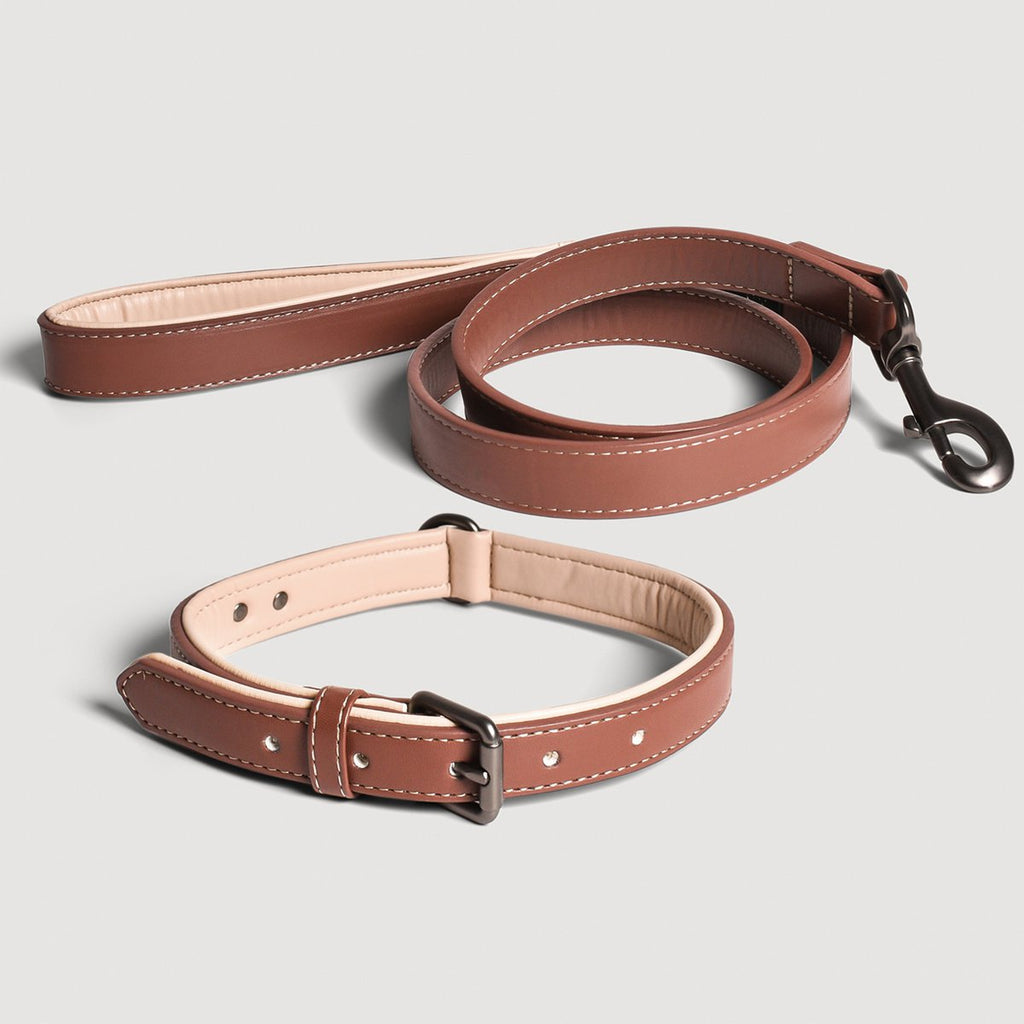Hundehalsband- und Leinen-Set – Veganes Leder Braun & Beige