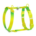 WAUDOG Nylon Recycled Dog H-Harness with QR Passport - Gradient - Light green
