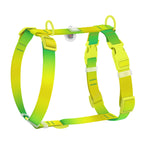 WAUDOG Nylon Recycled Dog H-Harness with QR Passport - Gradient - Light green