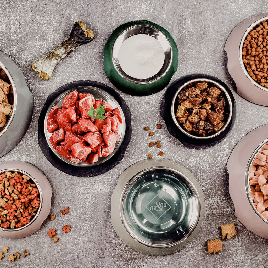 Double Bowl Set – Grey.For Dogs & Cats