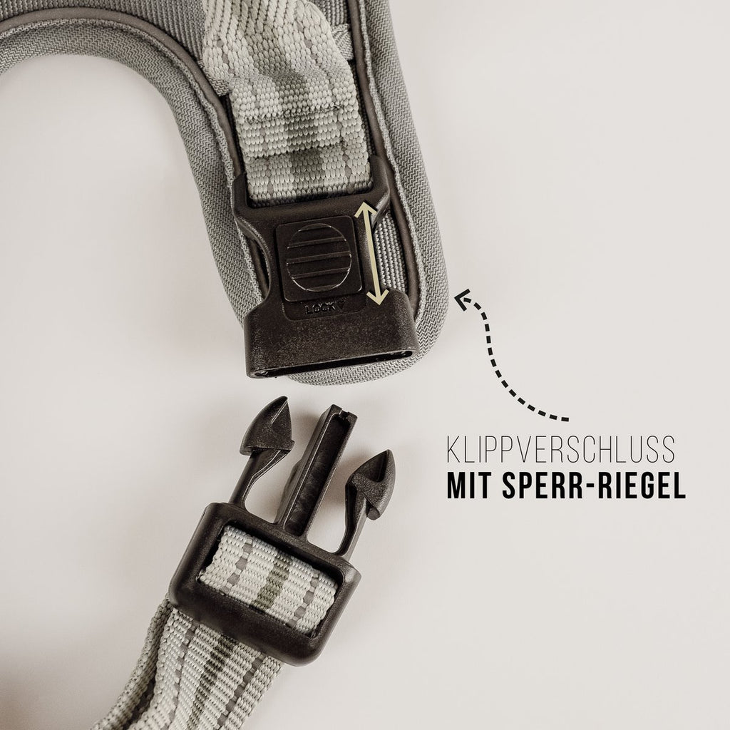 Hundegeschirr – stoßdämpfend