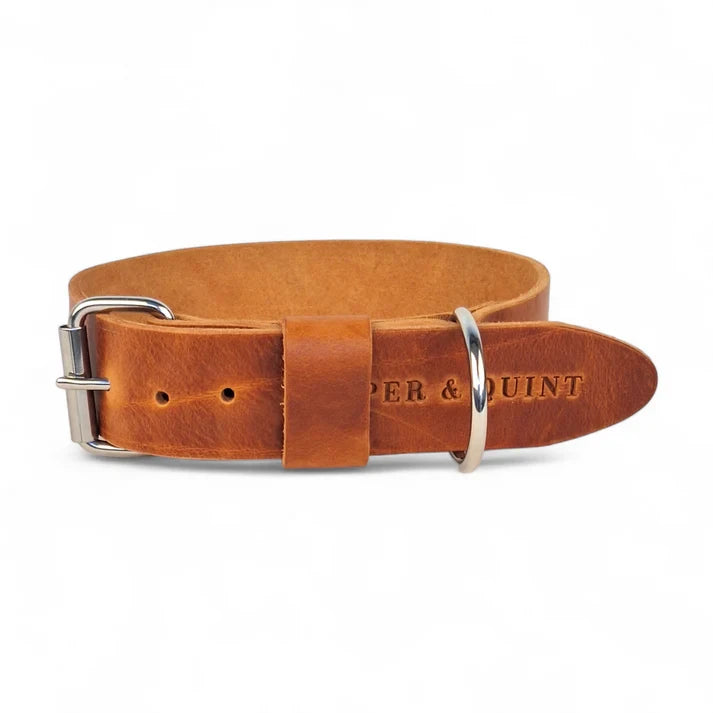 Breites Hundehalsband aus Leder – Camel