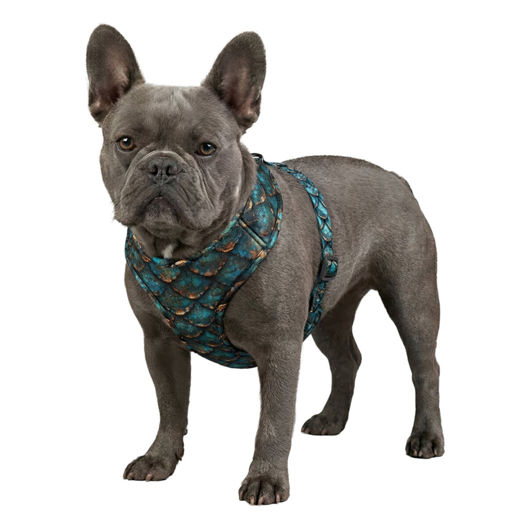 WAUDOG Mesh Breathable Dog Harness with QR Pet Tag - Skulls