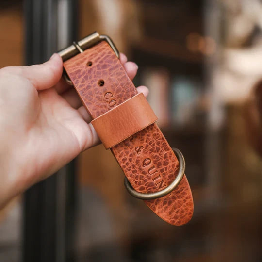 Breites Hundehalsband aus Leder – Camel