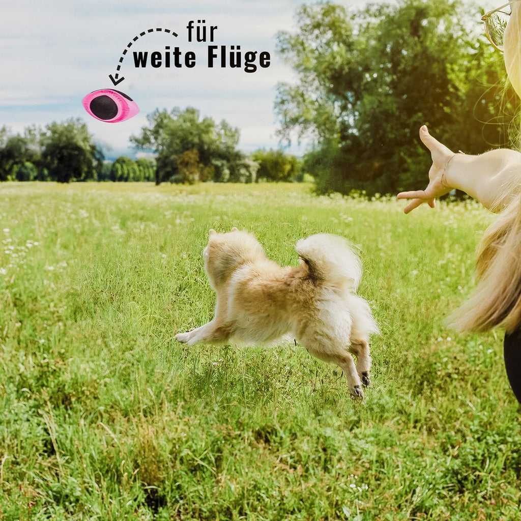 Juguete para perros – Pelota de fútbol flotante