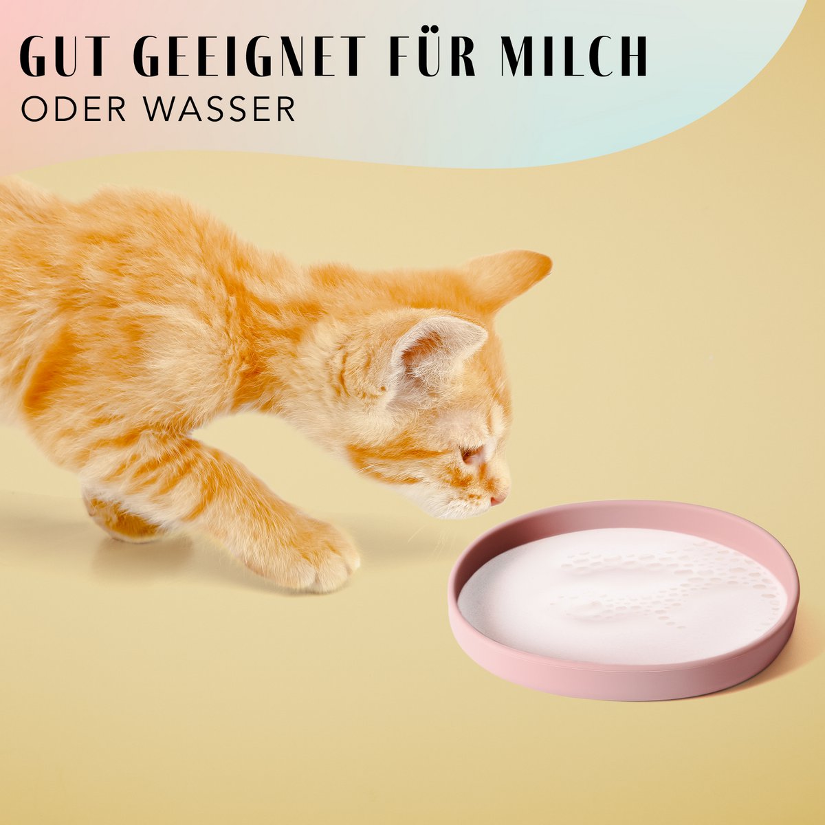 Cat Bowl – Silicone Shallow Whisker-Friendly