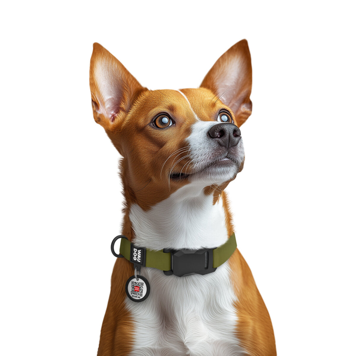 WAUDOG Magnet Dog Collar with QR Passport - Khaki