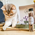 Juego de regalo de bienestar para gatos – Hierba gatera, spray de valeriana y palitos de matatabi