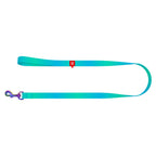 WAUDOG Nylon Dog Leash - Gradient - Blue