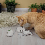Juguetes para gatos con hierba gatera - Set rellenable (3 juguetes + 9 bolsas de hierba gatera)