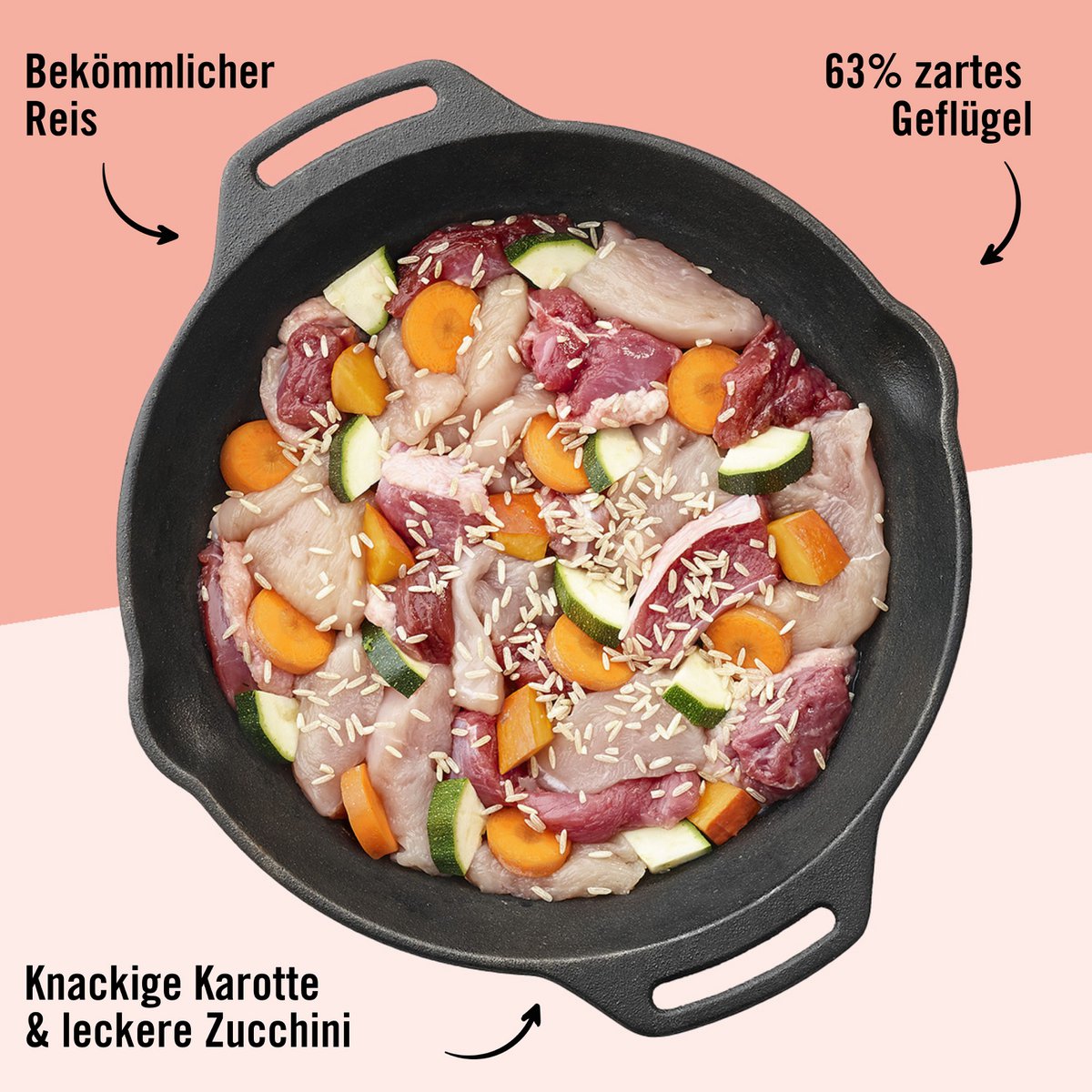 Dogs’n Tiger Junior, Hundefutter, Grünschnabel, Hunde Nassfutter, Welpen Futter, Geflügel, Getreidefrei, Naturreis, Karotte & Zucchini