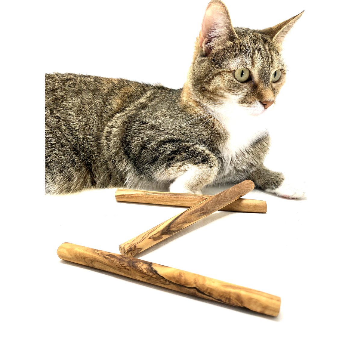 Olivenholz Kauholz Set (3er) – Natürliches Kauspielzeug für Katzen & kleine Hunde