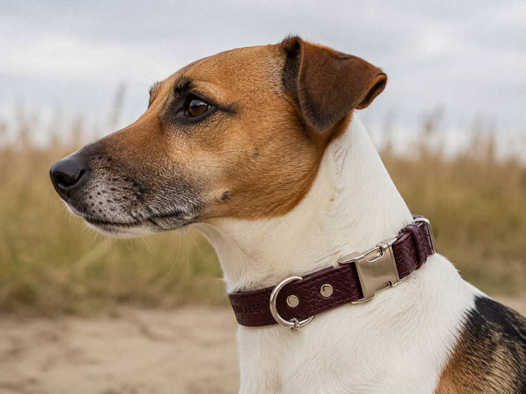 Python Embossed Genuine Leather Dog Collar PAWEAREA®