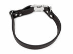 Python Embossed Genuine Leather Dog Collar PAWEAREA®