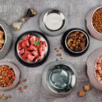 Futternapf - 2er Set - für Hunde und Katzen - Rose