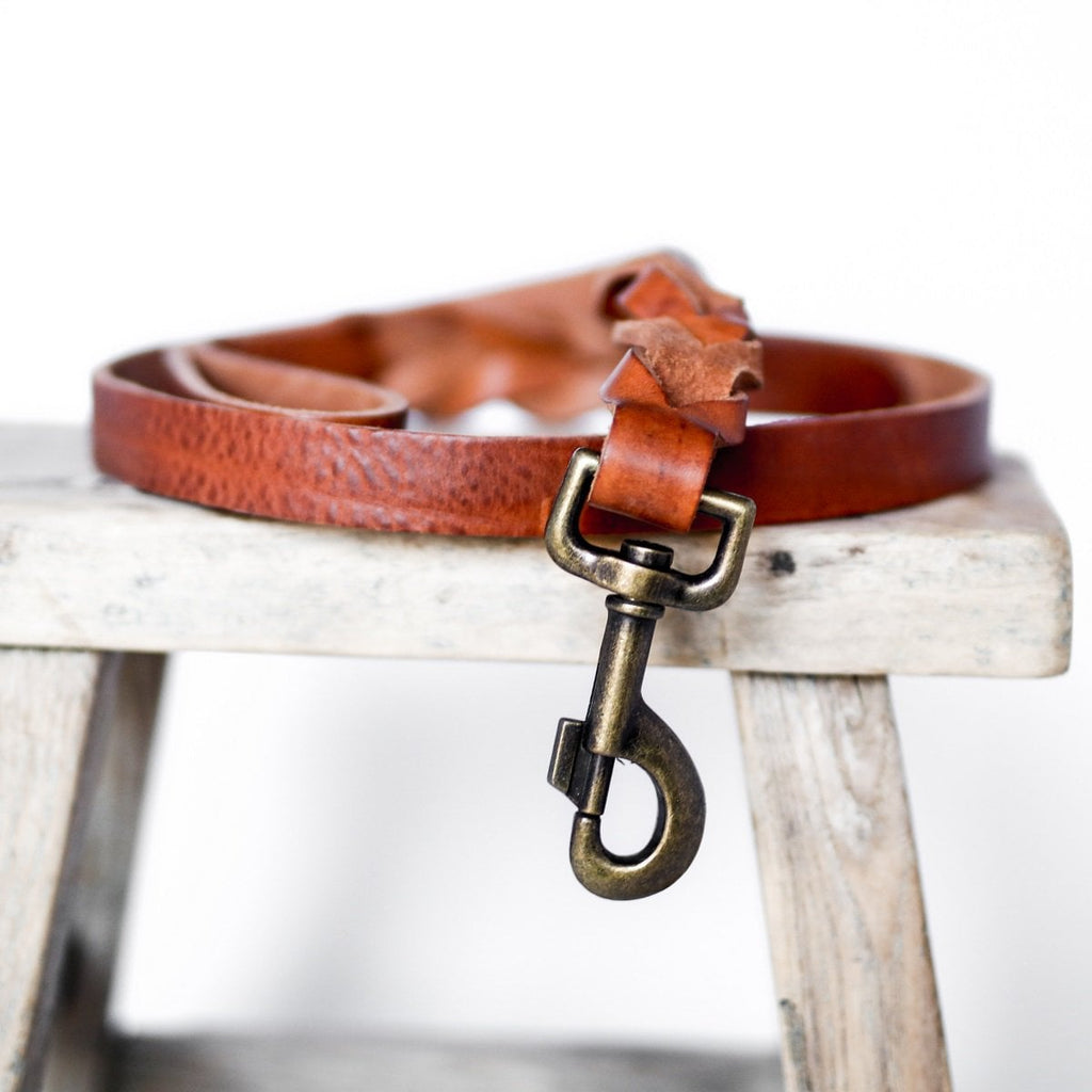 Gedrehte Hundeleine – Farbe Camel