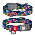 WAUDOG Nylon Dog Collar with QR Passport - Fig