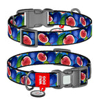 WAUDOG Nylon Dog Collar with QR Passport - Fig
