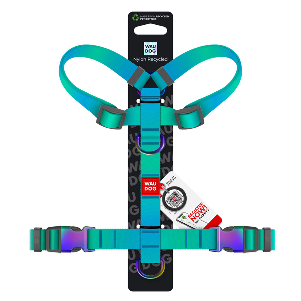 WAUDOG Nylon Recycled Dog Anatomic H-Harness with QR Passport - Gradient - Blue