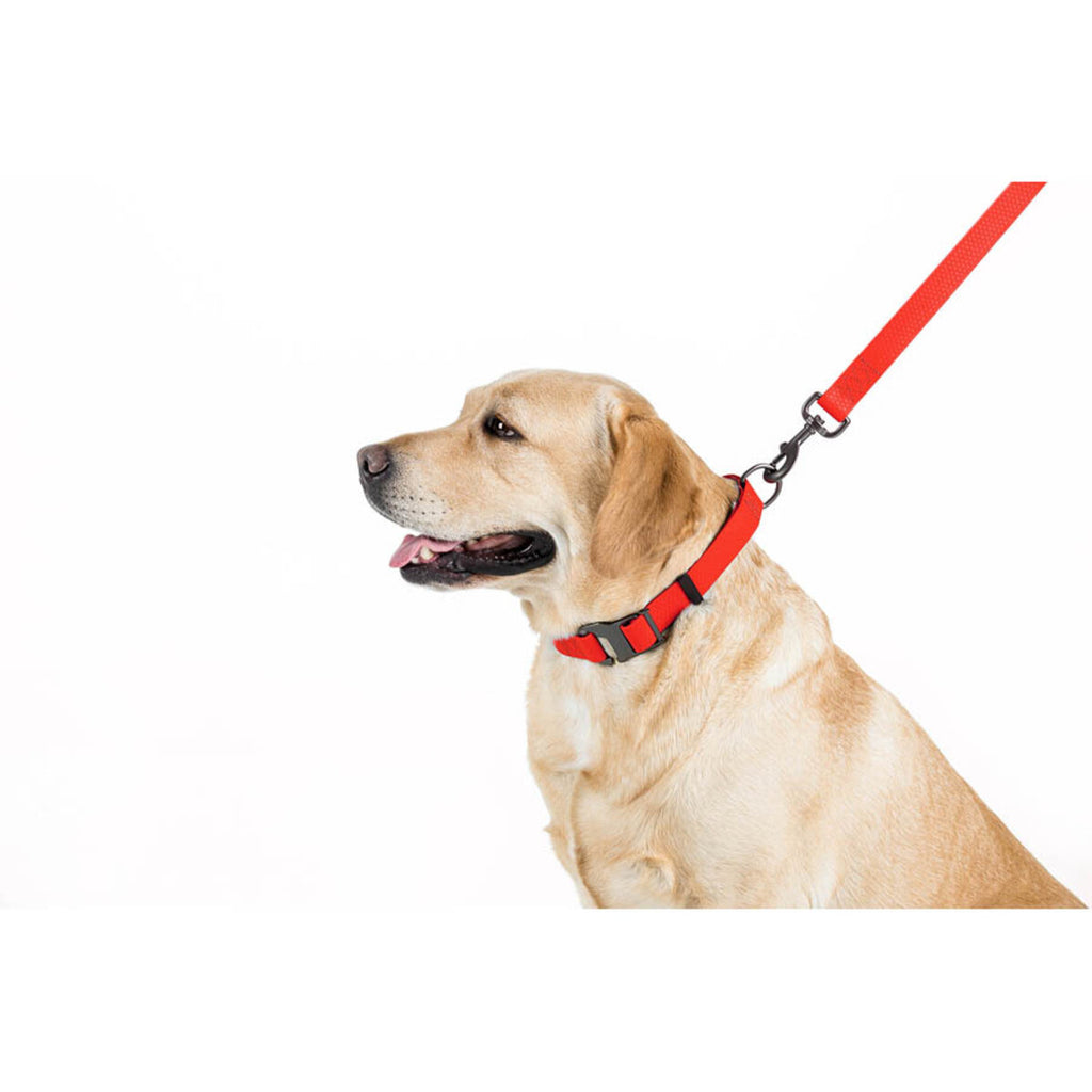 WAUDOG Waterproof Dog Leash - Red