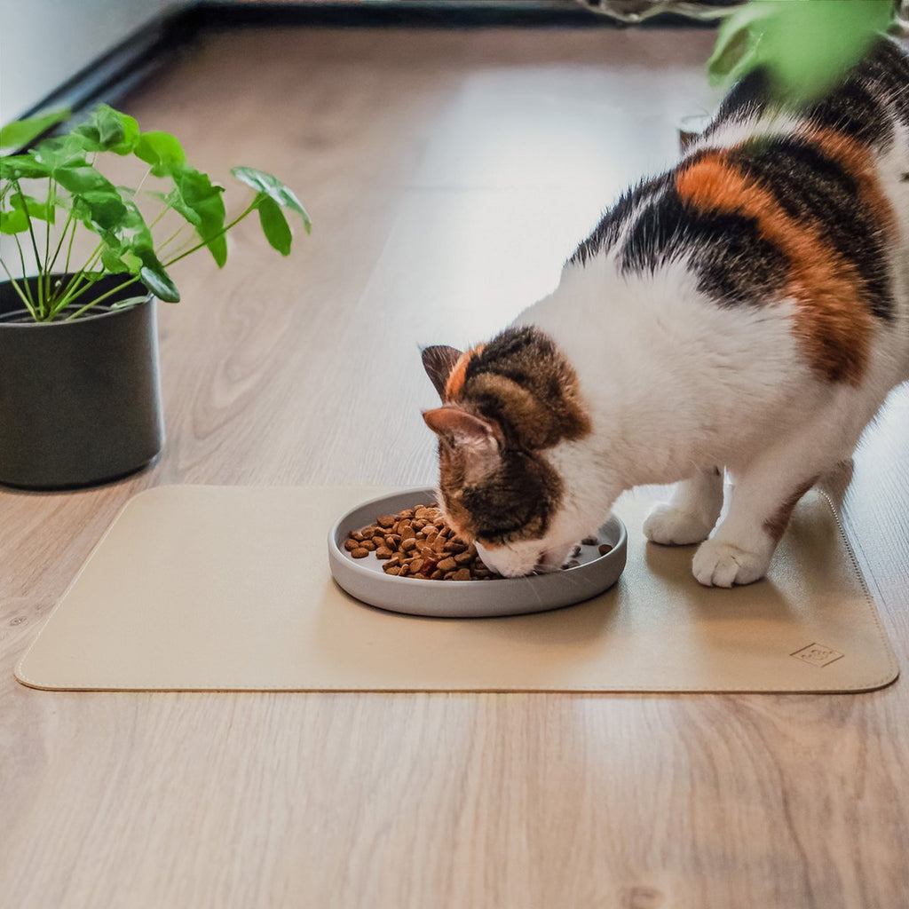 Food base made of vegan leather