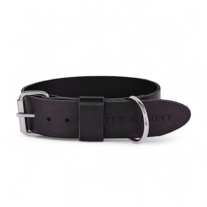 Hundehalsband – Breit Leder Schwarz
