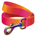 WAUDOG Nylon Dog Leash - Gradient - Orange