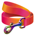 WAUDOG Nylon Dog Leash - Gradient - Orange