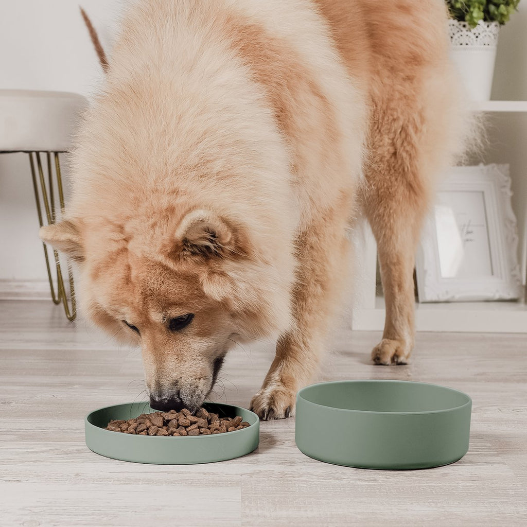Pet Bowl – Silicone 3-in-1 with Lid