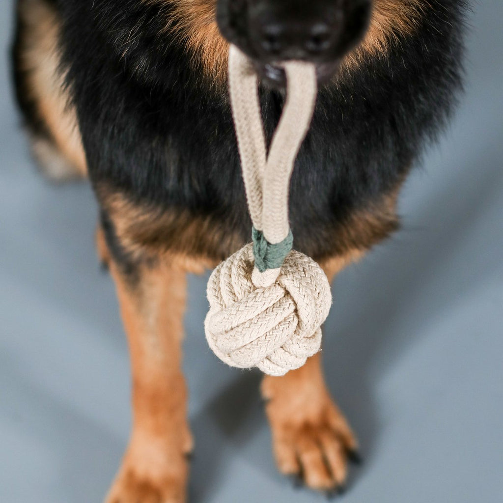 Juguete de Cuerda Anudada para Perro