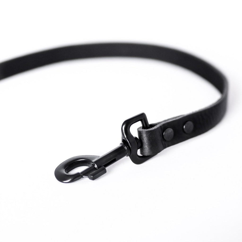 Hundetrainingsleine – Schwarz