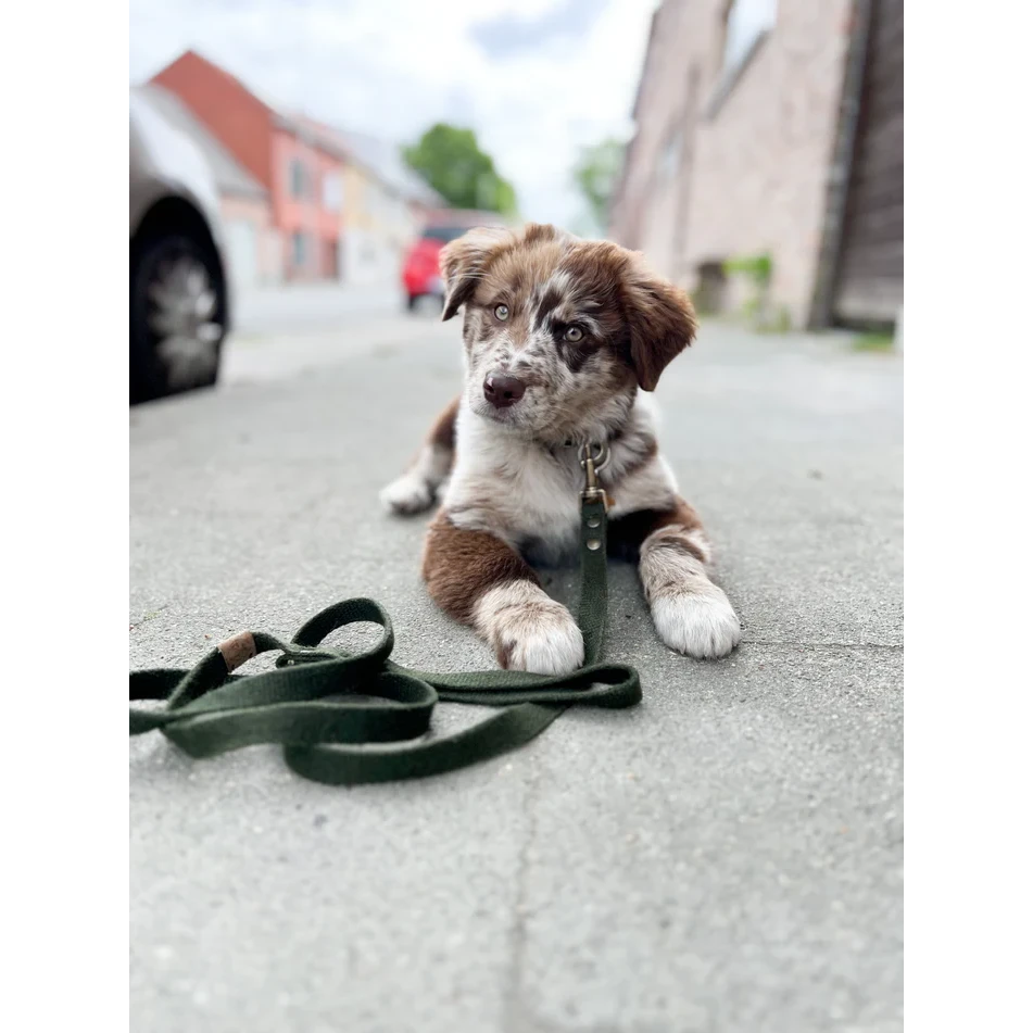 Dog Leash – Hemp (Forest Green)