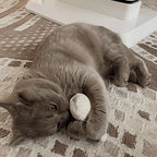 Juguetes para gatos con hierba gatera - Set rellenable (3 juguetes + 9 bolsas de hierba gatera)