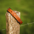 Hundehalsband aus Leder – Farbe Kamel
