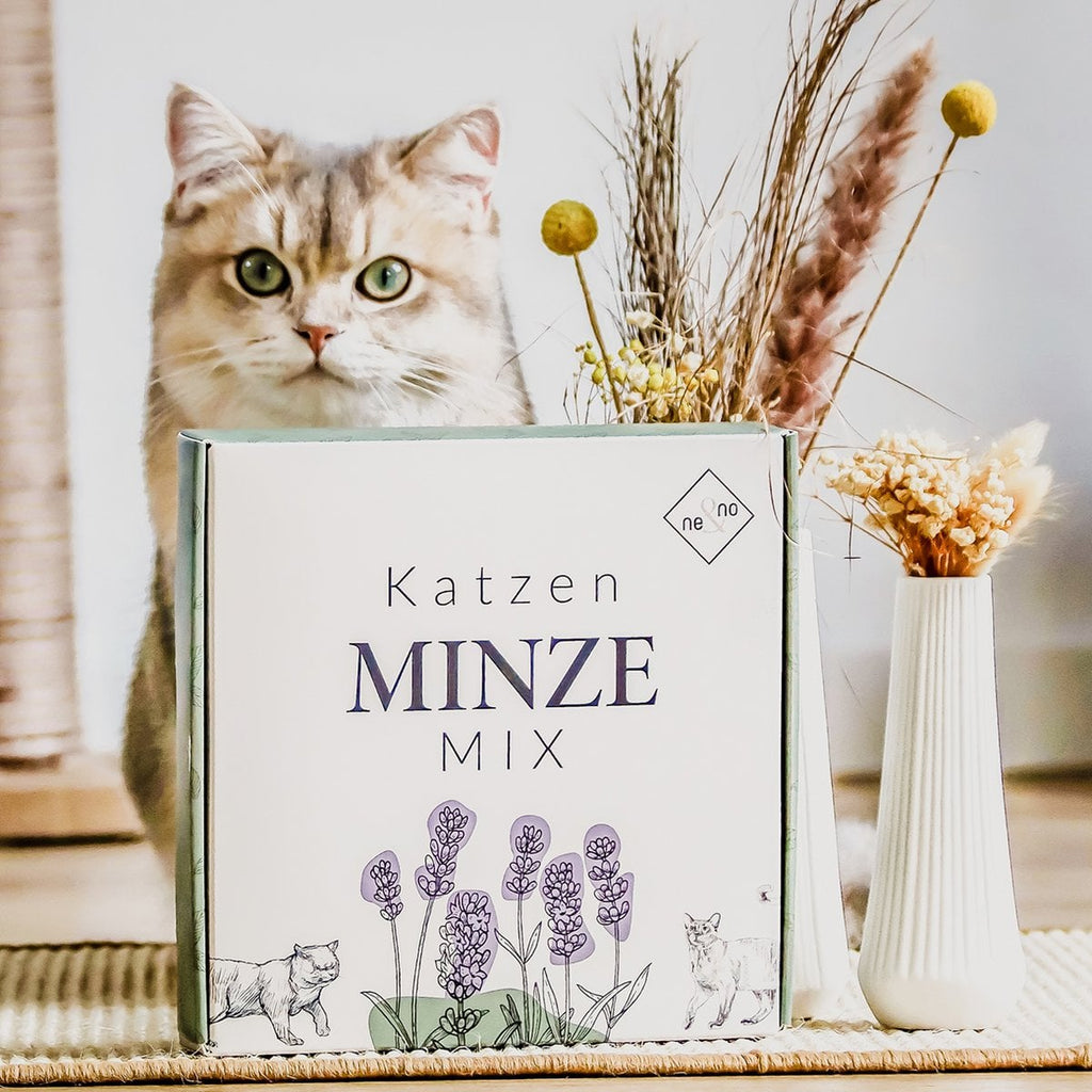 Juego de regalo de bienestar para gatos – Hierba gatera, spray de valeriana y palitos de matatabi