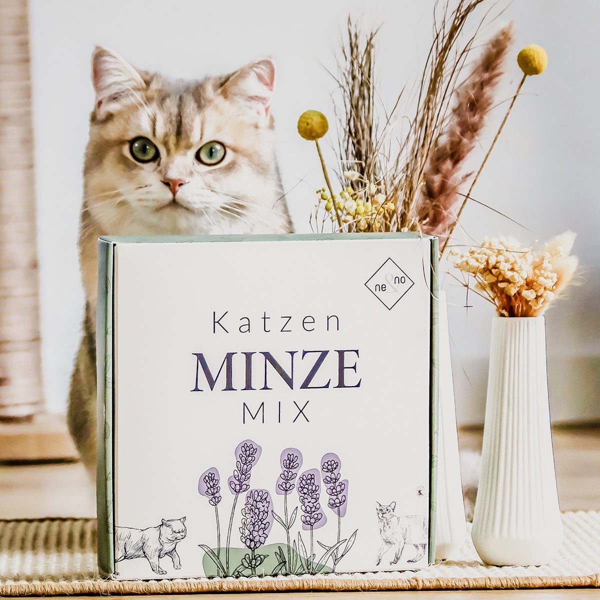 Juego de regalo de bienestar para gatos – Hierba gatera, spray de valeriana y palitos de matatabi