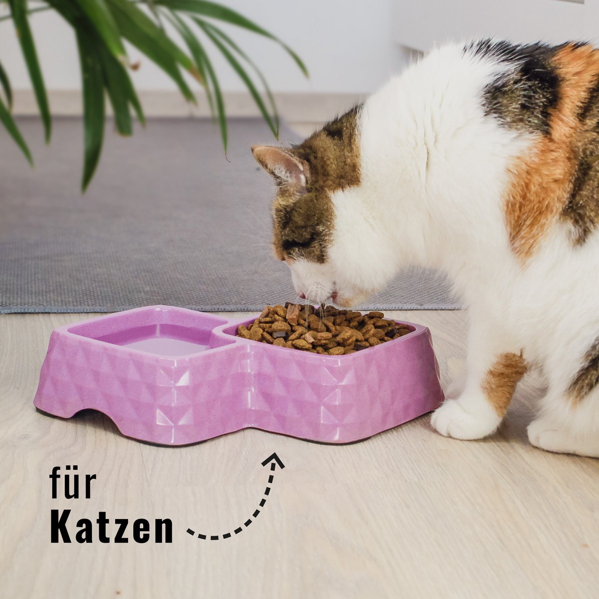 Bamboo Double Bowl for Cats & Small Dogs