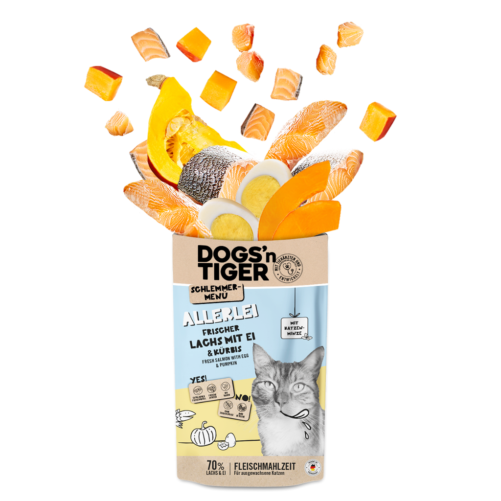 Adult Katzenfutter, Allerlei, Nassfutter für Katzen, Getreidefrei, Lachs mit Ei & Kürbis