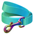 WAUDOG Nylon Dog Leash - Gradient - Blue