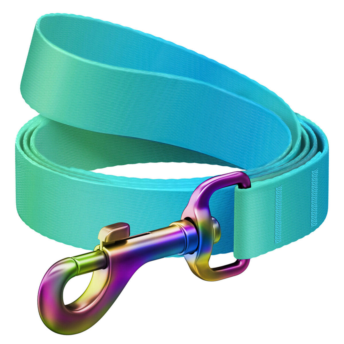 WAUDOG Nylon Dog Leash - Gradient - Blue