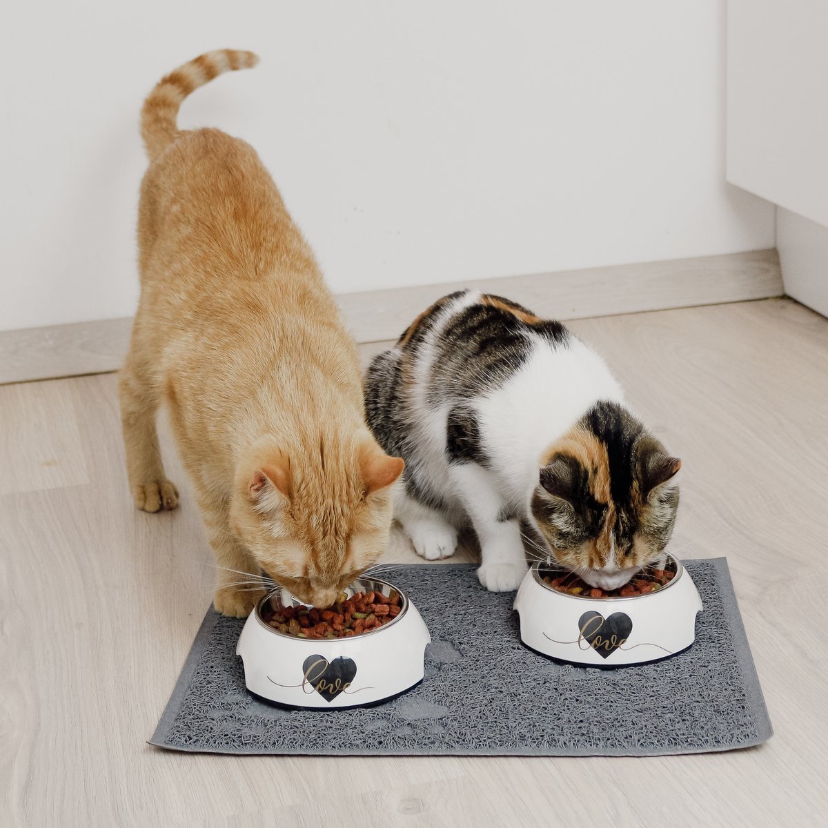 Futternapf 2er Set für große Hunde - Love Design