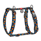 WAUDOG Nylon Dog H-Harness with QR Passport - Oranges