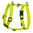 WAUDOG Magnet Dog H-Harness with QR Passport - Lemon