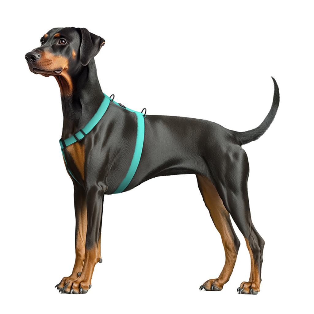 WAUDOG Magnet Dog H-Harness with QR Passport - Tiffany